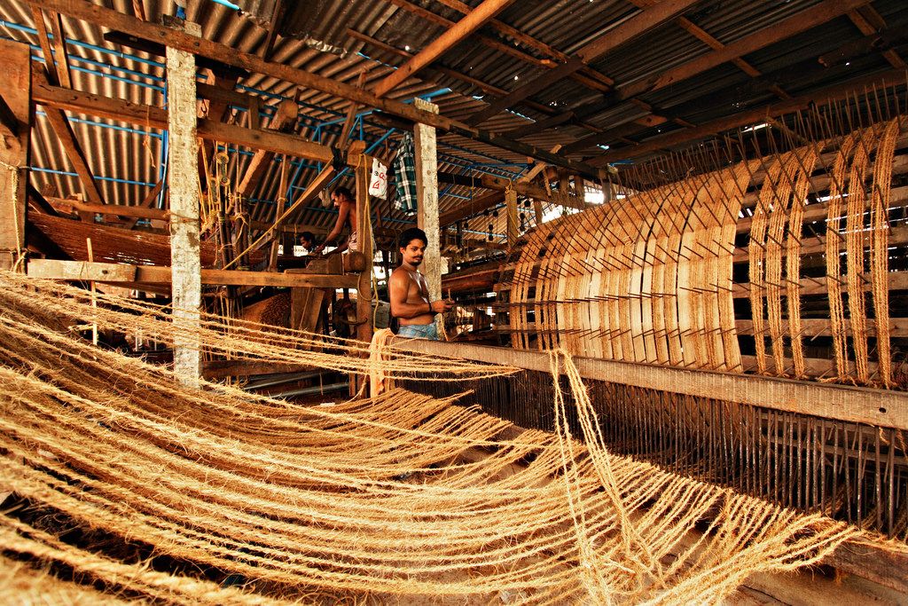 Processing of the Coir